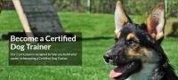 International School for Certified Dog Trainers  image 1